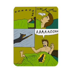 A painful wake up magnet