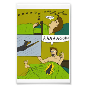 A painful wake up  photo print