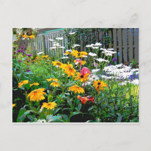 A  Painted Garden Postcard