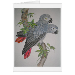 A Pair of African Grey Parrots watercolor painting