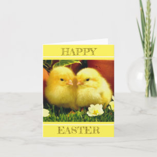 A Pair of Baby Chicks in Spring Card