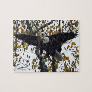 A Pair of Bald Eagles during Fall Season Jigsaw Puzzle