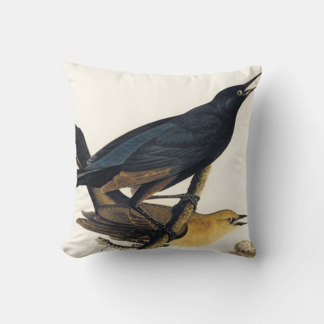A Pair of Boat-Tailed Grackles Cushion (Front)