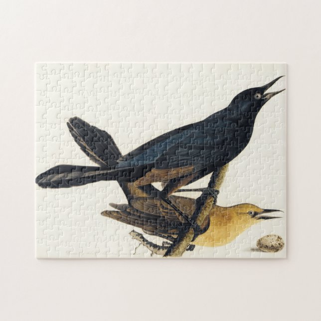 A Pair of Boat-Tailed Grackles Jigsaw Puzzle (Horizontal)