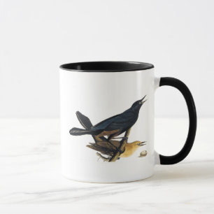 A Pair of Boat-Tailed Grackles Mug
