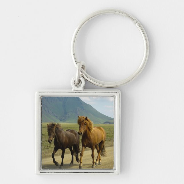 A Pair of Brown Icelandic Ponies Key Ring (Front)