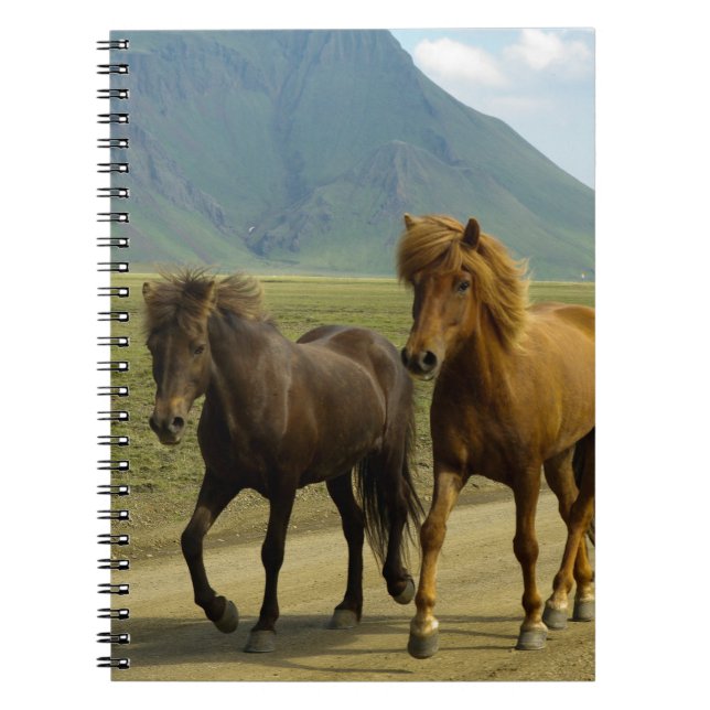 A Pair of Brown Icelandic Ponies Notebook (Front)