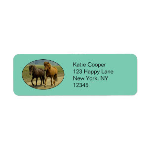 A Pair of Brown Icelandic Ponies Return Address Label