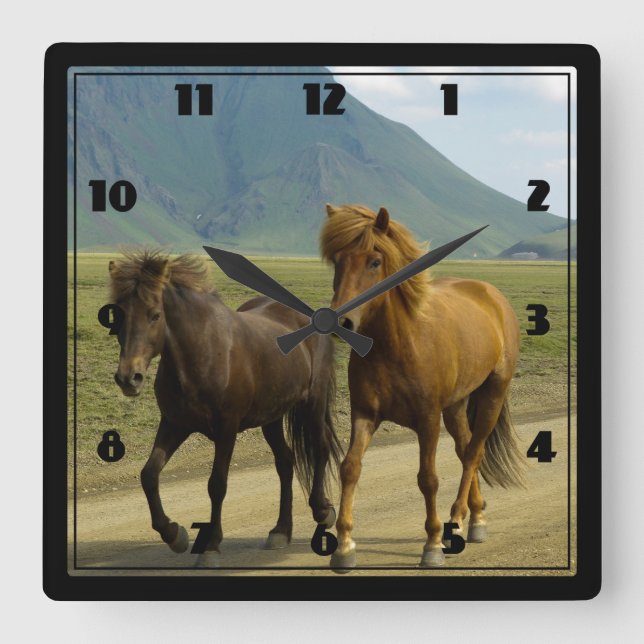 A Pair of Brown Icelandic Ponies Square Wall Clock (Front)
