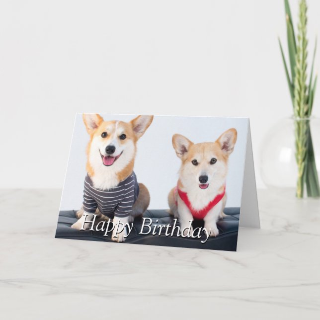 A Pair Of Corgis Sitting On A Bench Card (Front)