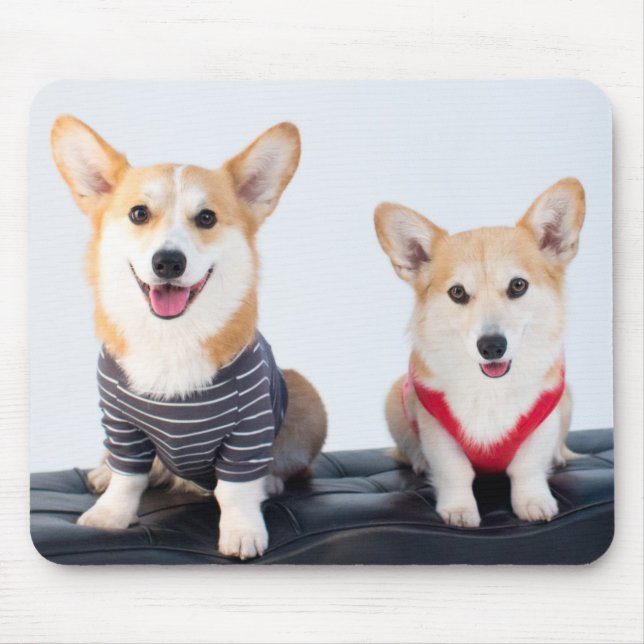 A Pair Of Corgis Sitting On A Bench Mouse Pad (Front)