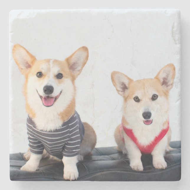 A Pair Of Corgis Sitting On A Bench Stone Coaster (Front)