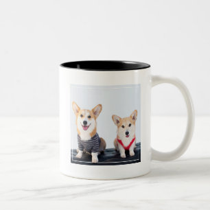 A Pair Of Corgis Sitting On A Bench Two-Tone Coffee Mug