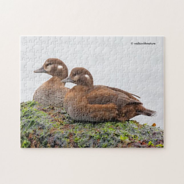 A Pair of Harlequin Ducks on the Rocks Jigsaw Puzzle (Horizontal)