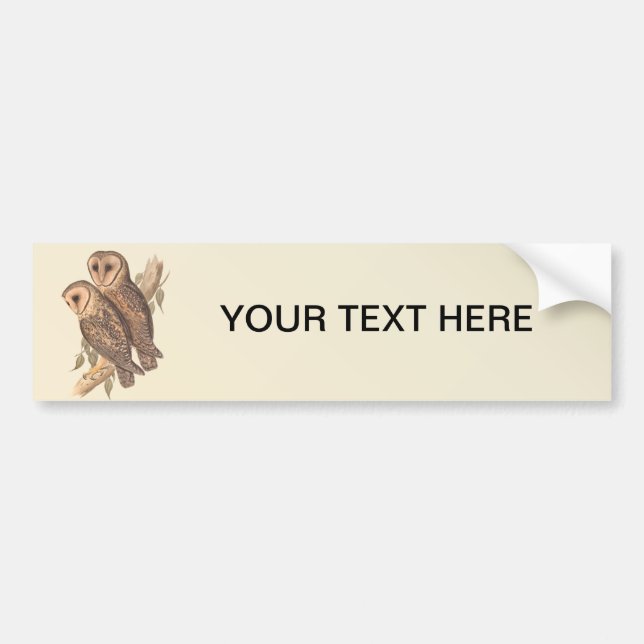 A Pair of Masked Barn Owls on a branch (painting). Bumper Sticker (Front)
