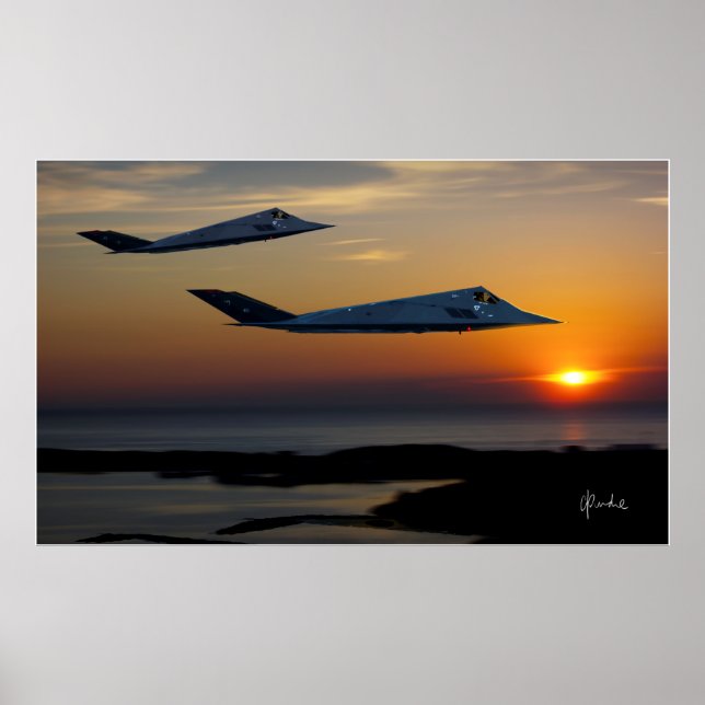 A Pair of Nighthawks Poster (Front)