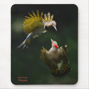 A Pair of Northern Flickers Mouse Pad