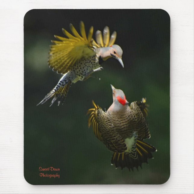 A Pair of Northern Flickers     Mouse Pad (Front)