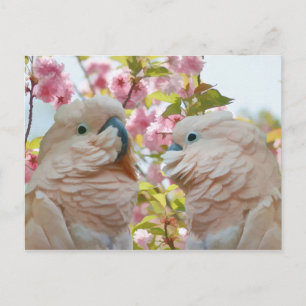 A Pair of Parrots and Crab Apple Blossoms Postcard