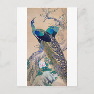 A Pair of Peacocks in Spring, Imao Keinen Postcard