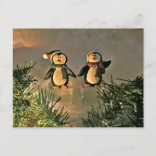 A Pair of Penguins Postcard