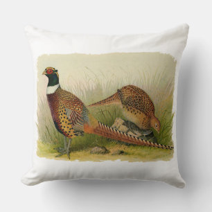A pair of Ring necked pheasants in a grassy field Cushion