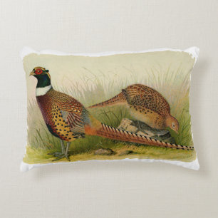 A pair of Ring necked pheasants in a grassy field Decorative Cushion