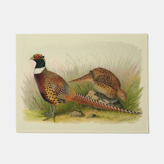A pair of Ring necked pheasants in a grassy field Doormat (Front)