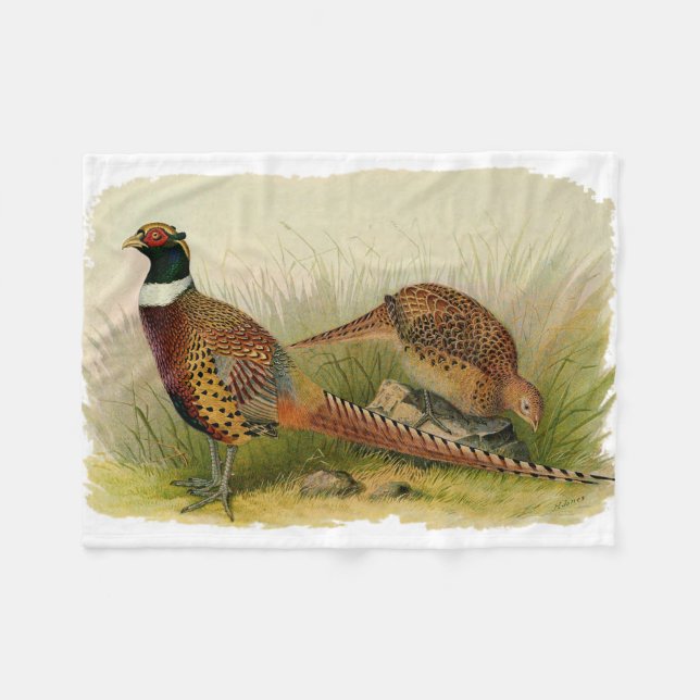 A pair of Ring necked pheasants in a grassy field Fleece Blanket (Front (Horizontal))