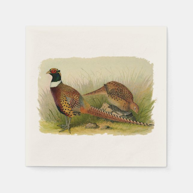 A pair of Ring necked pheasants in a grassy field Napkin (Front)