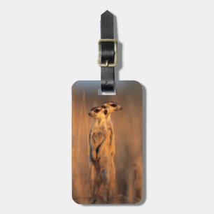 A pair of Suricates standing on a rock at sunset Luggage Tag