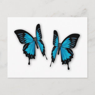A Pair of Tropical Blue Butterflies Postcard