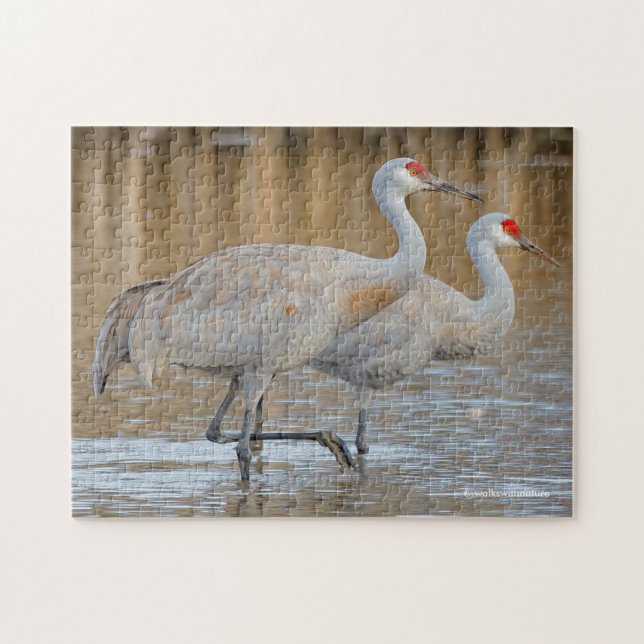 A Pair of Wading Greater Sandhill Cranes Jigsaw Puzzle (Horizontal)