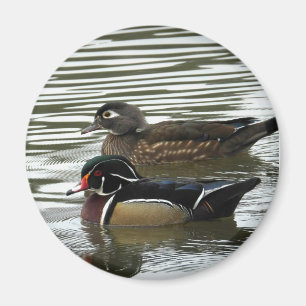 A Pair of Wood Ducks Magnet