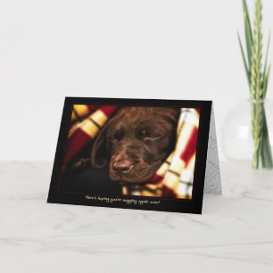 A-PAL -Labrador Retriever Puppy   Get Well Card