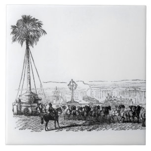 A palm tree being transported to Hyde Park for the Ceramic Tile