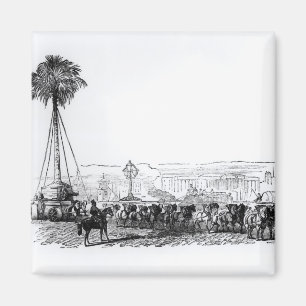 A palm tree being transported to Hyde Park for the Magnet