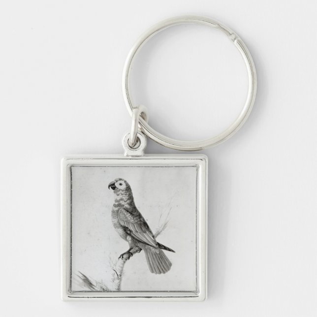 A Parrot, 1786 Key Ring (Front)
