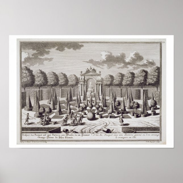 A parterre with orange trees in the garden of the poster (Front)