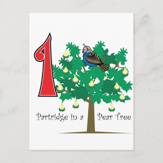 A Partridge in a Pear Tree Postcard (Front)