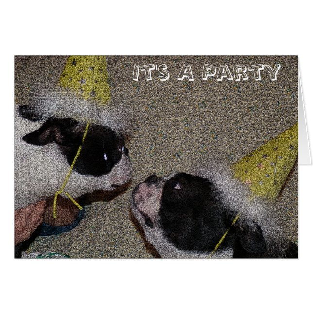 A Party (Front Horizontal)