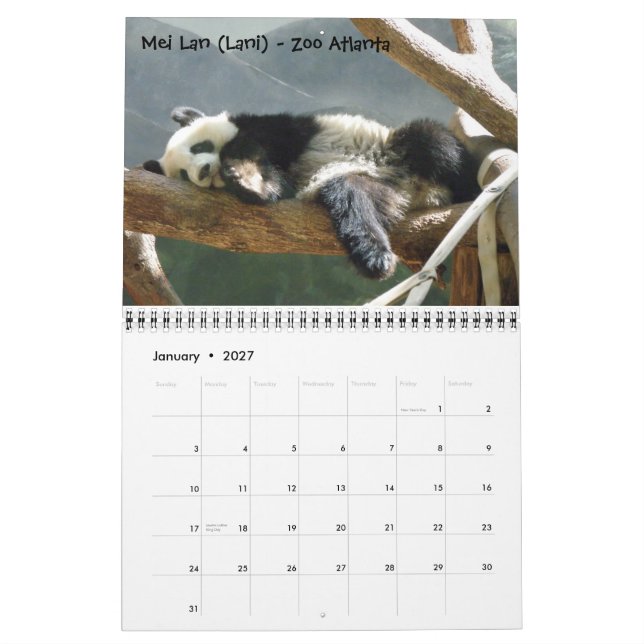 A Passion for Pandas!, 2009 Calend... - Customised Calendar (Jan 2027)