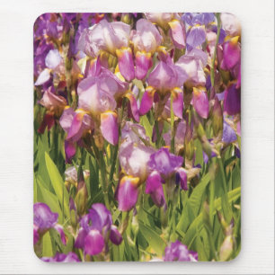 A passion for purple mouse pad