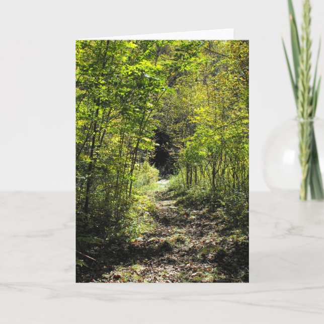 A Path In The Woods- Greeting Card (Front)