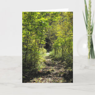 A Path In The Woods- Greeting Card