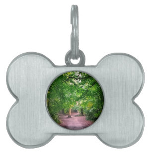 A path through the trees pet ID tag