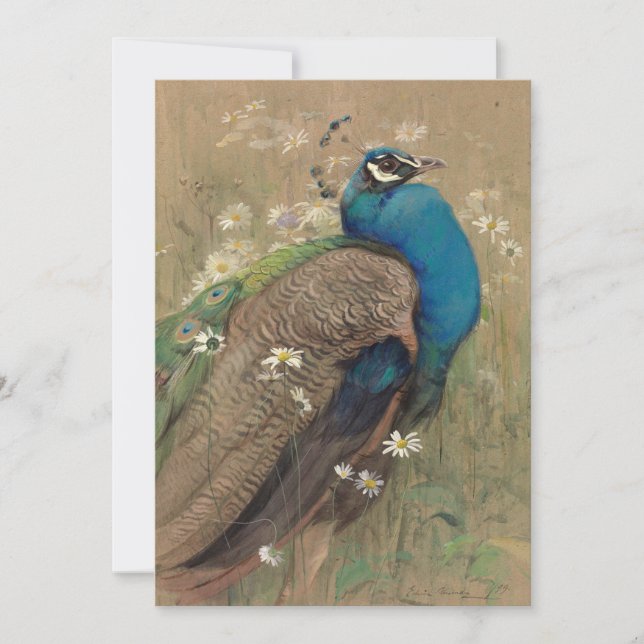 A Peacock and Marguerites | Edwin John Alexander (Front)