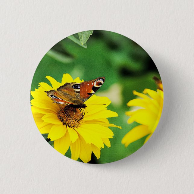 A peacock butterfly - Button (Front)