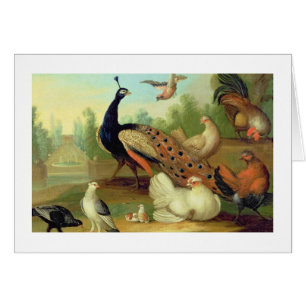 A Peacock, Doves, Chickens and a Jay in a Park