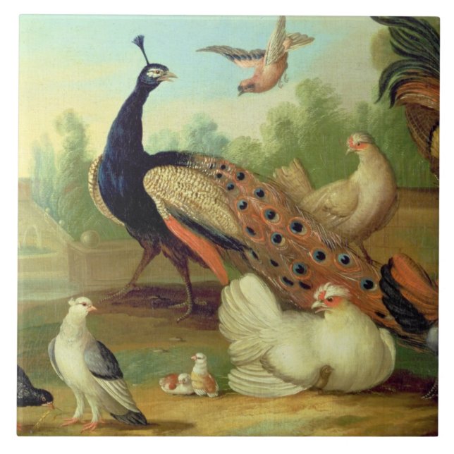 A Peacock, Doves, Chickens and a Jay in a Park Ceramic Tile (Front)